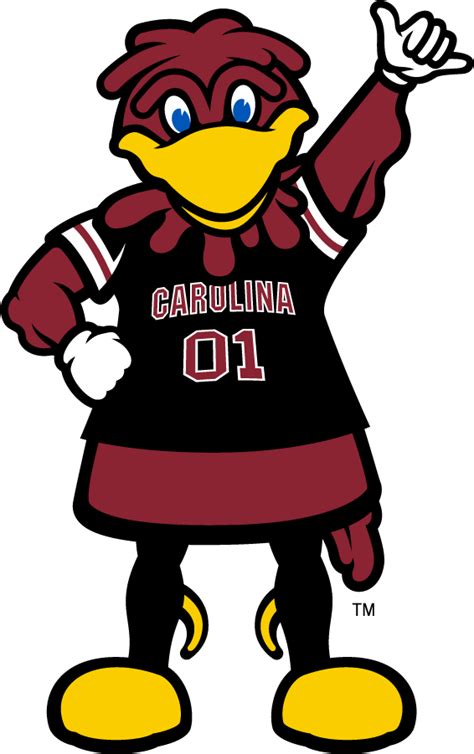 gamecocks cocky clip art.